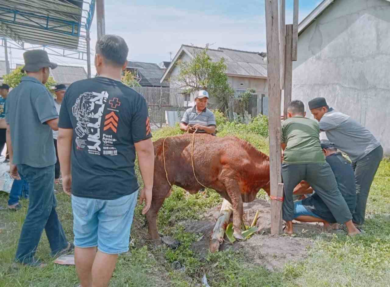 Warga GMJ 2 Kurban 2 Ekor Sapi dan 1 Kambing Perkuat Ukhuwah Islamiah