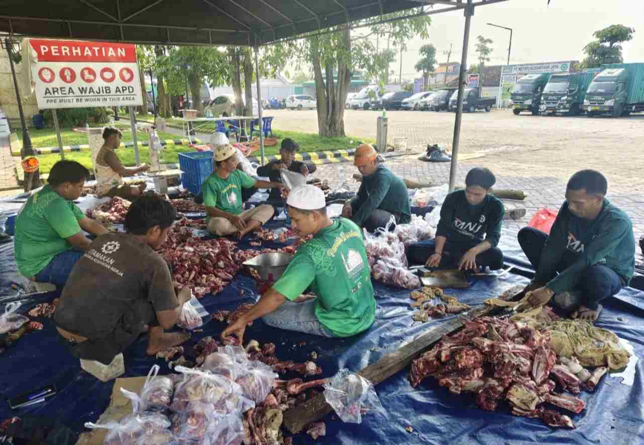 Usai Potong 11 Hewan Kurban, HUT ke-11 PT MNJ Siap Gelar Sholawat Bersama Habib Syech