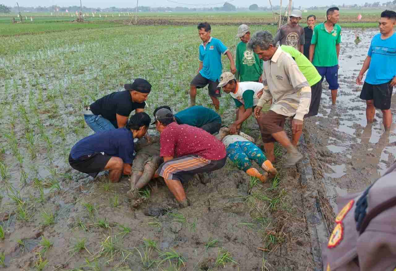 Tragis, 2 Petani Tewas Tersengat Listrik Jebakan Tikus di Sawah Kasiman Bojonegoro